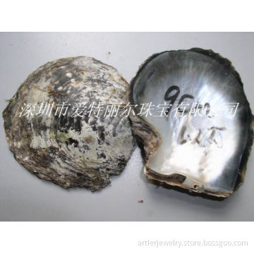 Black mother of pearl shell raw material